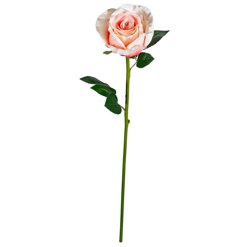 Faux Rose by Ashland®